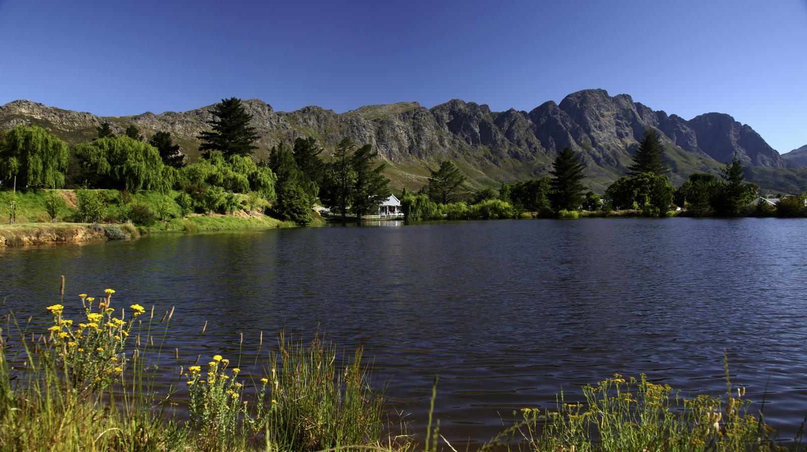 Bo La Motte Guest Cottages